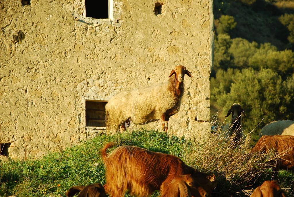 Experience Il Paesino Hotel Licodia Eubea Eksteriør billede